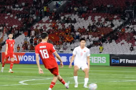 Vietnam suffers loss to Indonesia in World Cup qualifiers