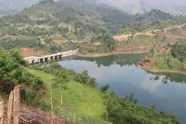 Ministry calls for actions towards green economy, sustainable future