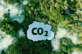 WB's 51.5-million-USD payment helping Vietnam reduce emissions