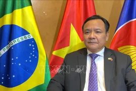 Brazilian President interested in advancing ties with Vietnam: Ambassador