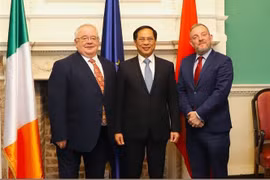 Vietnam, Ireland to forge cooperation in numerous spheres