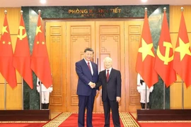 Vietnam secures significant results in external affairs under Party’s leadership: official