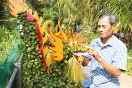 Dragon-shaped kumquat trees sought after