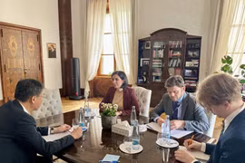 Vietnam, Czech Republic boast huge cooperation potential: Ambassador