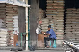 Indonesia to spend 7.6 billion USD for food security in 2024