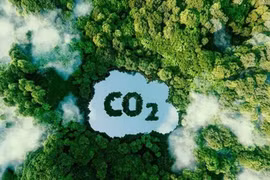 Training course sheds light on emission trading system, carbon market
