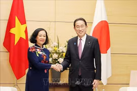 Vietnam sees Japan as important strategic partner: Party official