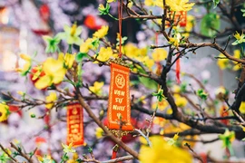 Tet wishes extended to overseas Vietnamese