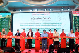 Netherlands, Australia help transform rice value chains in Mekong Delta