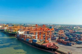 Numerous opportunities for Vietnam, Canada to develop trade ties: insiders