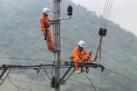 Fitch raises rating of Vietnam's northern power corporation 