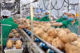HCM City Export Forum and Trade Fair slated for May 8-11