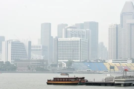 Indonesia investigates firms related to forest fire