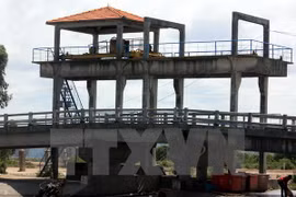 11.8 mln USD for irrigation project in Kien Giang 