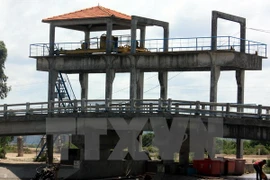 11.8 mln USD for irrigation project in Kien Giang 