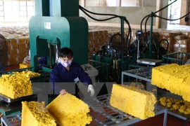 Vietnam hopes to join Int’l Tripartite Rubber Council
