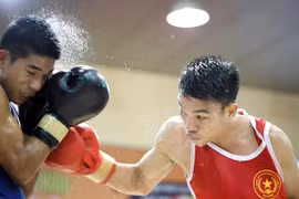 Vietnam earn berths at continental boxing champs