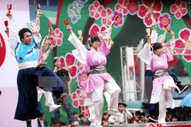 Dak Lak hosts Vietnam-Japan cultural exchange programme