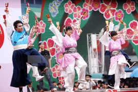 Dak Lak hosts Vietnam-Japan cultural exchange programme