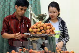 Bac Giang earns trillions of dong from lychee