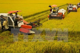 Canada hopes to expand trade in Mekong Delta