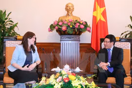 Vietnam promotes multi-faceted cooperation with Israel