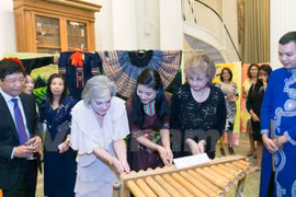 Vietnamese culture shines in US 