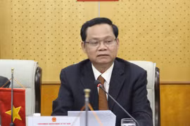 Vietnam, Japan talk inspector training