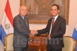 Vietnam, Paraguay mark 20th anniversary of diplomatic ties 