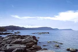  Forest coverage improves in Phu Quy island