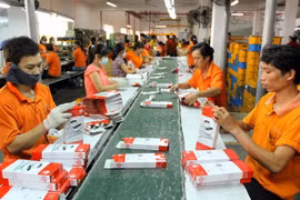 HCM City to transform industrial parks with hi-tech industries