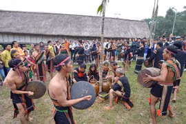 Binh Dinh: fading ethnic music requires practical measures 