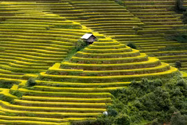 Mu Cang Chai: astonishing destination for tourism 