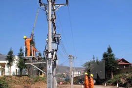 Vinh Long completes upgrades of rural electricity network 