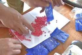 Drug smuggling gang busted