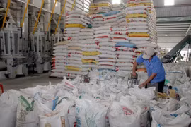 Vietnam sees 52 percent surge in rice export to Africa