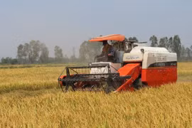 SBV urges credit lending for agriculture loss reduction 