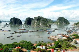 PR training workshop for Ha Long Bay preservation project