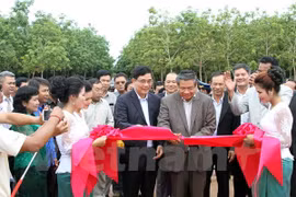 Vietnam rubber latex processing plant built in Cambodia