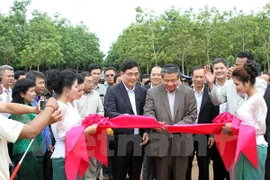 Vietnam rubber latex processing plant built in Cambodia