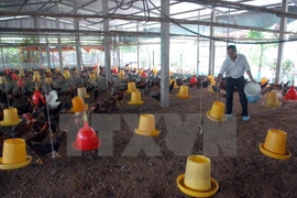 Report on farmer cooperation and linkages in agricultural production 