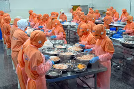 Vietnam's preparations for upcoming AEC 