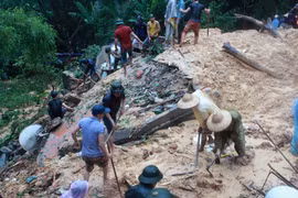  Flood, torrential rain kill 15 in Quang Ninh