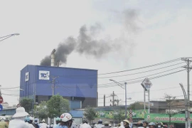Vietnam, Japan jointly adapt to climate change
