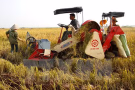 Post-harvest loss reduction policies remain inefficient