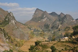 Nature sanctuary to be established in Ha Giang province