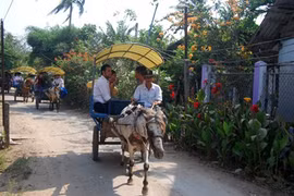  Tourism focuses on southeast region