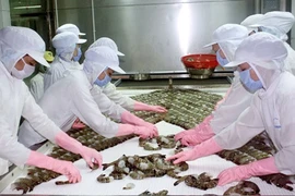Shrimp farmers should increase product quality: experts