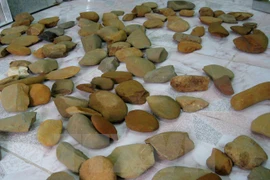 20-millennium-old prehistoric sites found in Lao Cai 
