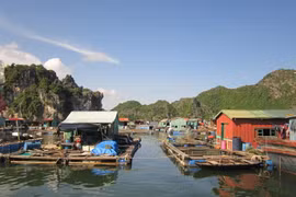 Cai Beo - The largest floating village in Vietnam in ancient time